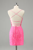 Glitter Hot Pink Bodycon Spaghetti Straps Sequins Mini Dress