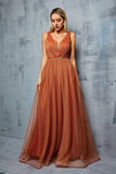 Brown A Line V Neck Spaghetti Straps Tulle Maxi Dress