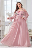 Plus Size Blush Round Neck Chiffon Embroidered Maxi Dress with Sleeves