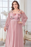 Plus Size Blush Round Neck Chiffon Embroidered Maxi Dress with Sleeves