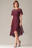 Burgundy Lace High-Low Mother of the Bride Dress with Short Sleeves