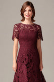 Burgundy Lace High-Low Mother of the Bride Dress with Short Sleeves