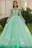 Mint Ball Gown Boat Neck Appliqued Tulle Quinceanera Dress With Long Sleeves