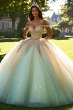 Glitter Champagne Tulle Lace Off the Shoulder Quinceanera Dress