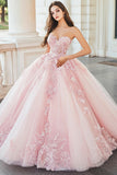 Pink Sweetheart Princess Tulle Quinceanera Dress with Appliques