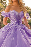 Plum Tulle Princess Off the Shoulder Quinceanera Dress with 3D Flowers