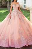 Blush Tulle Off the Shoulder Quinceanera Dress with Appliques