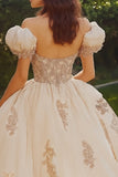 Princess Blush Ball Gown Off the Shoulder Tulle Quinceanera Dress with Appliques