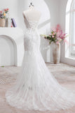 Sweep Train Tulle Corset Spaghetti Straps Wedding Dress with Appliques